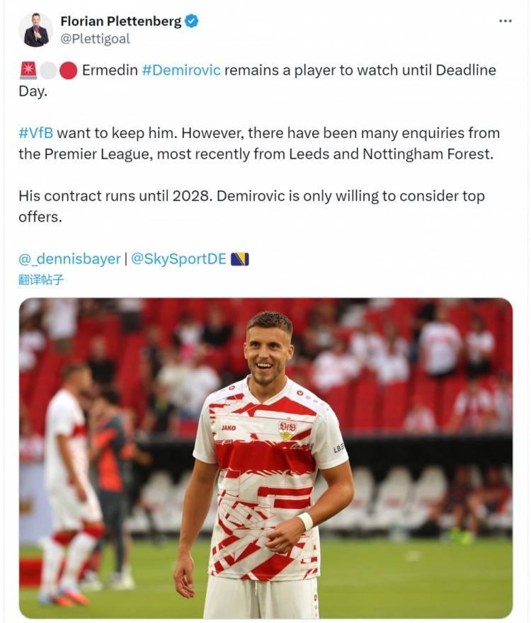 爱游戏体育-德天空：利兹联、诺丁汉森林有意德米洛维奇，斯图加特希望留住他